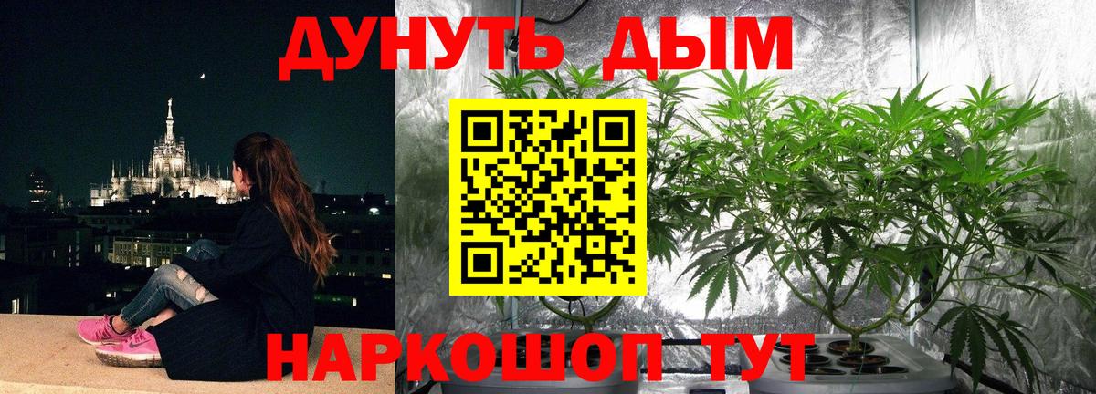 Каннабис ГИДРОПОН Лениногорск